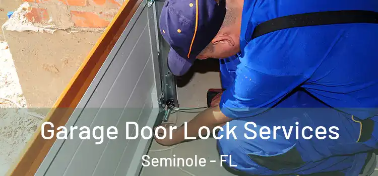 Garage Door Lock Services Seminole - FL