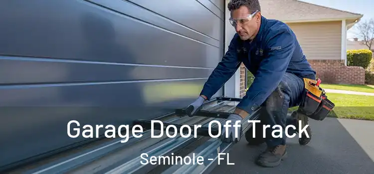  Garage Door Off Track Seminole - FL