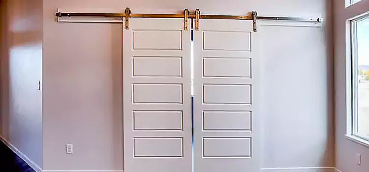 Glass Barn Door with Installation Hardware Kit Seminole