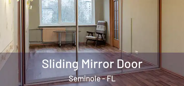  Sliding Mirror Door Seminole - FL